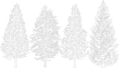 Obraz premium Four tall, slender evergreen tree outlines, detailed line drawings with many small leaves, against a grey checkered background.