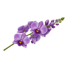 Obraz premium Stunning cluster of vibrant purple orchid flowers with delicate green stems and leaves, beautifully isolated on transparent background