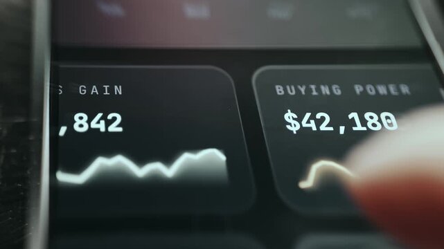 Days gain and Buying Power metrics from a financial portfolio