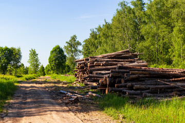 Fototapeta premium Stacked timber logs piled high beside a dusty dirt road at the edge of a lush green forest, showcasing the aftermath of logging operations under a bright summer sky