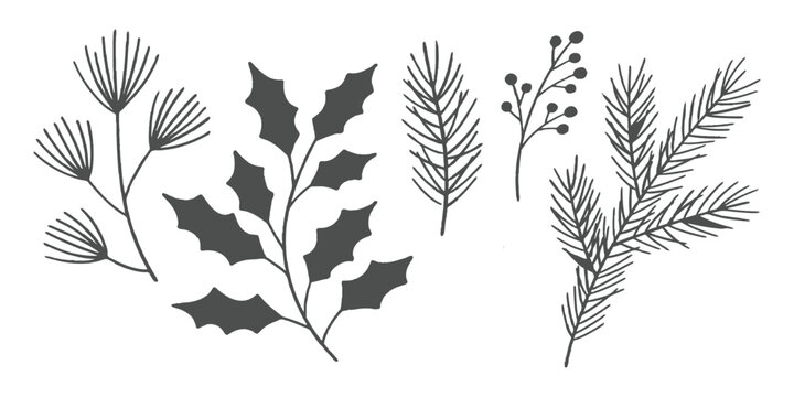 Hand drawn winter botanical elements with pinecones, holly branches, and evergreen leaves vector illustration set.