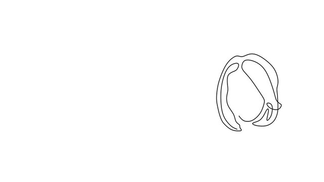 Animated self drawing of continuous line draw. Silhouette of  Line Art Portraits Minimalist Female Hair Styles. Full length one line animation. 4K	