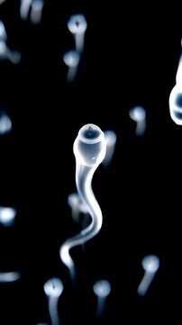 Microscopic sperm cells swimming on an empty black background, vertical video featuring realistic reproductive biology, medical science and fertility visualization
