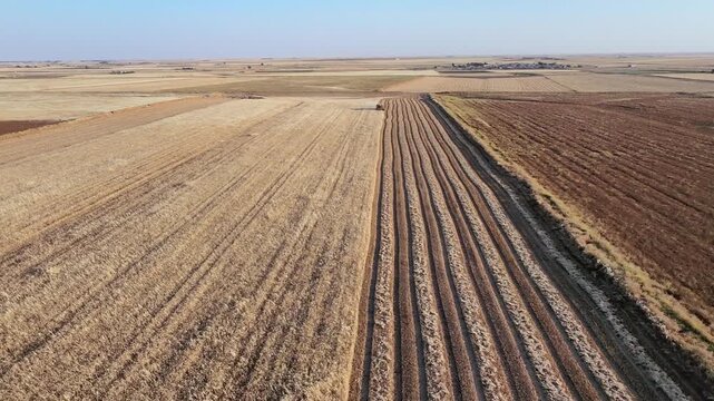 Harvested Field Aerial View: An aerial perspective captures the geometric patterns of a vast harvested field, with rows of stubble stretching towards the horizon under a clear sky.