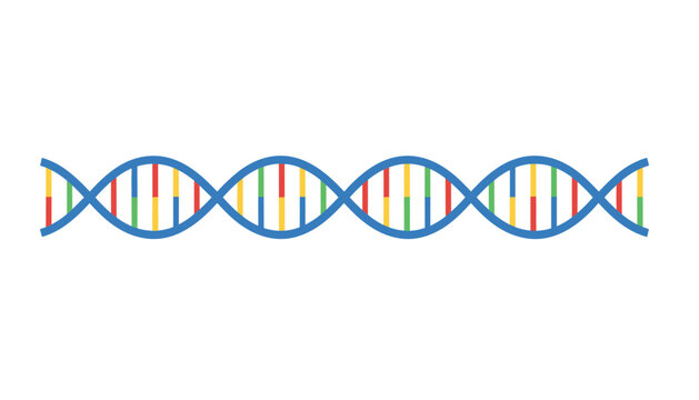 Double helix structure of DNA strand on white background symbolizes genetic code, biotechnology advancements, and scientific medical research progress.