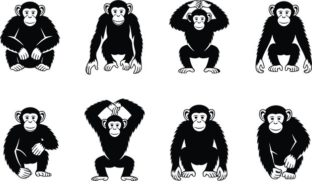 Set of black and white chimpanzee monkey characters in different poses and expressions
