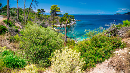 Fototapeta premium Idyllic summer day along the stunning coastline of Skopelos, Greece