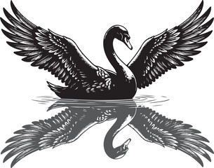 Elegant Swan in Water with Reflection and Spread Wings - Engraving Style Wildlife Art © Md Anamul