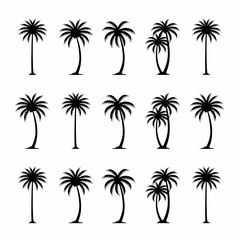 Fototapeta premium set of vector palms