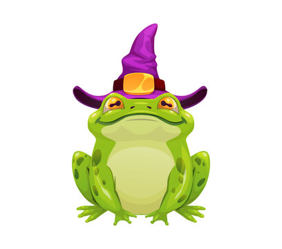 Halloween monster character of toad frog in witch hat, cartoon vector game Halloween witch animal green toad in wizard purple hat under magic spell for witchcraft mystery game asset personage