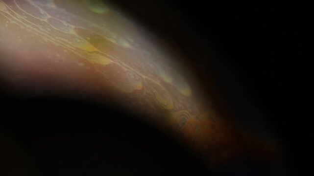 Dark fluid horizon with muted golden gradients and iridescent surface textures. Abstract horizontal macro footage showing a subtle curved liquid film boundary. Low-key golden and bronze 