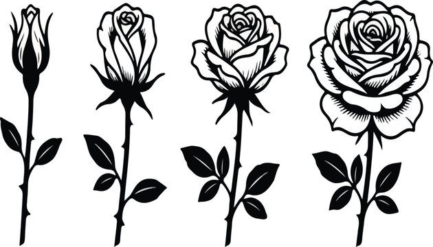 Black and white rose flower silhouettes collection graphic design elements.eps