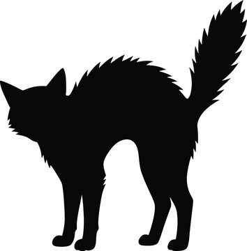 Silhouette of a scared cat with arched back and puffed tail