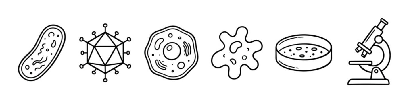 Microbiology biology science elements icons set illustrating various microscopic organisms, cells, viruses, and essential laboratory equipment in a simple outline style.