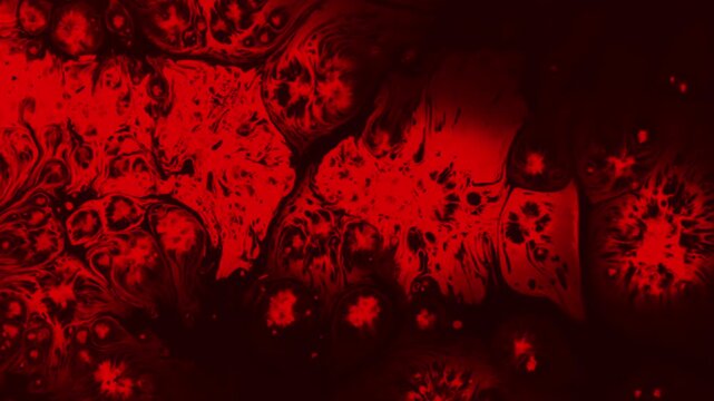 Laboratory Blood Test. A drop of red ink drops on black paper and spread over it, creating a very nice spot with a stains