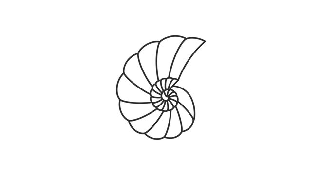 Elegant Nautilus Shell Outline Illustrates Golden Ratio and Fibonacci Sequence.