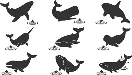 Collection of whale silhouettes interacting with starfish in creative minimalist black and white vector graphic design © Vecto_Pixels