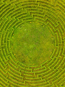 Aerial view of the spruce labyrinth with dense green hedges forming a circular maze pattern in Jaunpils parish, Tukums Municipality, Latvia.