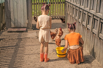 Two girls are feeding grain to domestic chickens in the backyard. Childhood in the countryside surrounded by animals. © Maryna