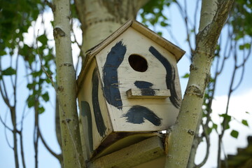 An enclosed artificial nesting box for small birds, primarily those that nest in tree hollows. Among all artificial nesting boxes, starling boxes and tit boxes are the most popular among enthusiasts. © Artak