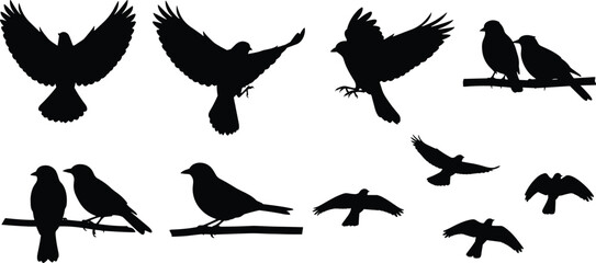 Obraz premium Black bird silhouettes perched and flying line art illustration collection for nature wildlife design and educational projects