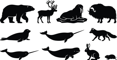 Arctic animal silhouettes including polar bear reindeer walrus musk ox seal narwhal beluga fox hare and lemming © Sabbir's World