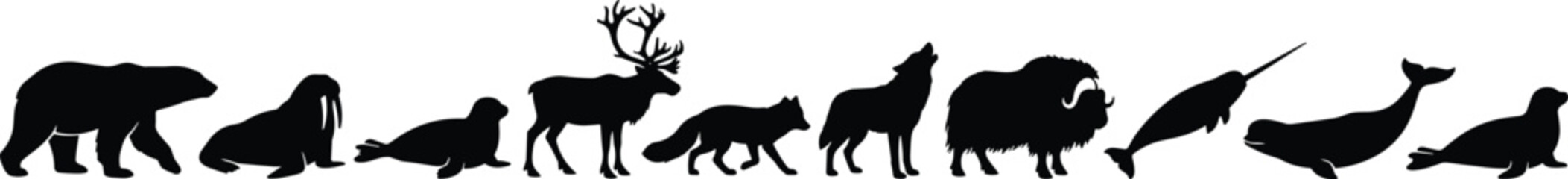 Arctic animal silhouettes including polar bear walrus seal reindeer fox wolf musk ox narwhal and sea lion © Sabbir's World