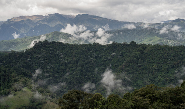 Paisaje de bosque andino con monta&ntilde;as cubiertas de niebla y nubes en un entorno natural