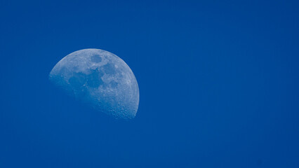 Half moon in blue daytime sky © Dario Manetti