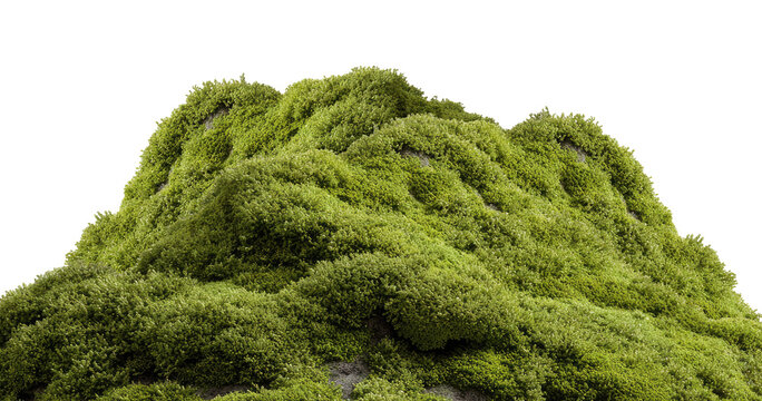 Lush green moss mound, isolated on transparent background