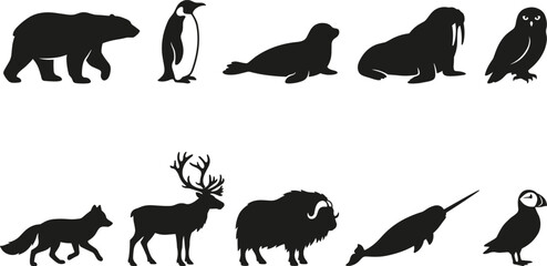 Arctic animal silhouettes including polar bear penguin seal walrus owl fox reindeer musk ox narwhal and puffin © Sabbir's World