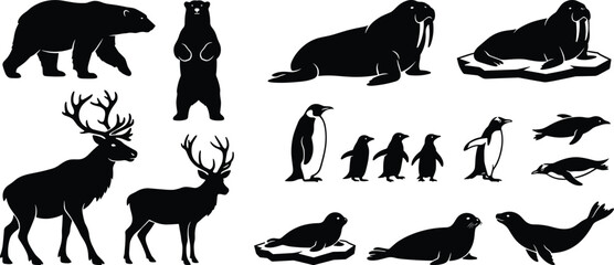 Polar region animal silhouettes including polar bears reindeer walruses penguins and seals in black design © Sabbir's World