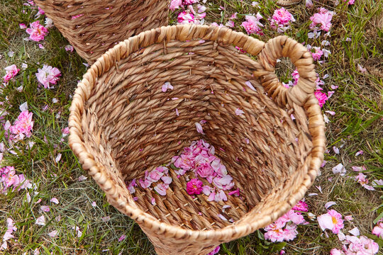 Woven wicker baskets placed on grass, filled with pink roser petals, surrounded by scattered petals on the ground in a natural outdoor setting
