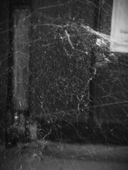 Obraz premium Interior cobwebs in dusty abandoned room with window light and wooden paneling