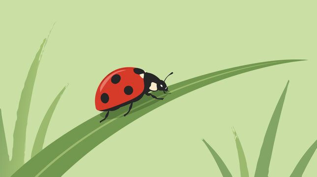 Small red ladybug crawling on a green blade of grass, flat vector illustration isolated on a light background. Cute nature scene depicting beneficial garden beetle in a minimalist artistic style.