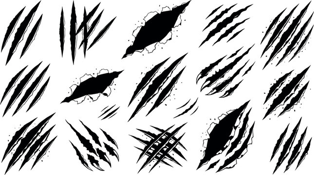 Dark beast claw slashes with ripped paper cuts, scary animal nail scratches, black monster tear marks for mystery horror Halloween vector design