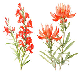 Fototapeta premium PNG Vibrant red flowers with greenery on transparent background