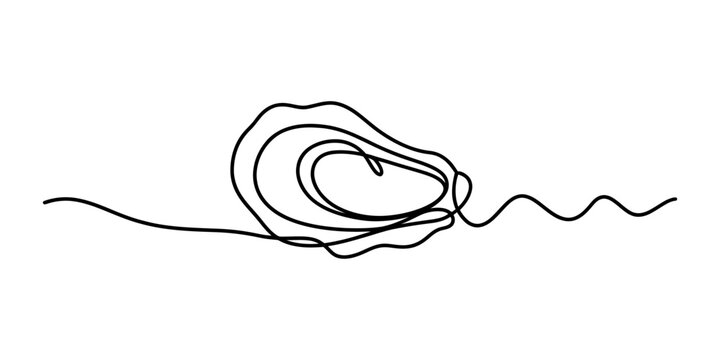 Continuous single line drawing of an oyster shell Vector, illustration
