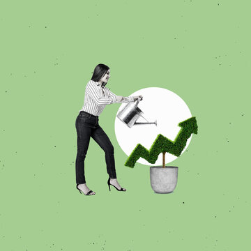  Concept of investment income and growth with tree in pot