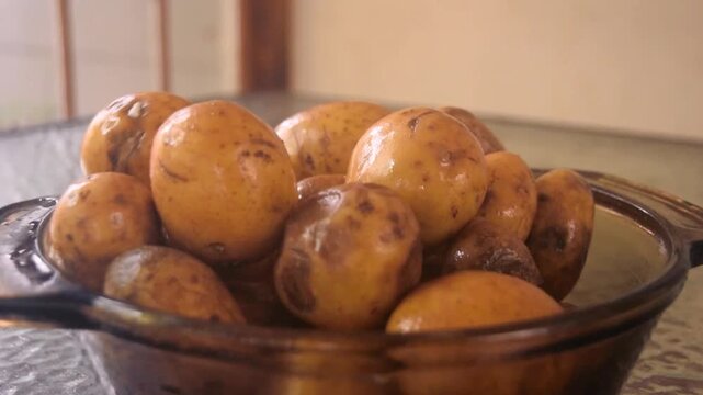 A slow motion video of small fresh picked red potatoes being poured into a clear bowl after rinsing them in kitchen sink. They bounce around the bowl