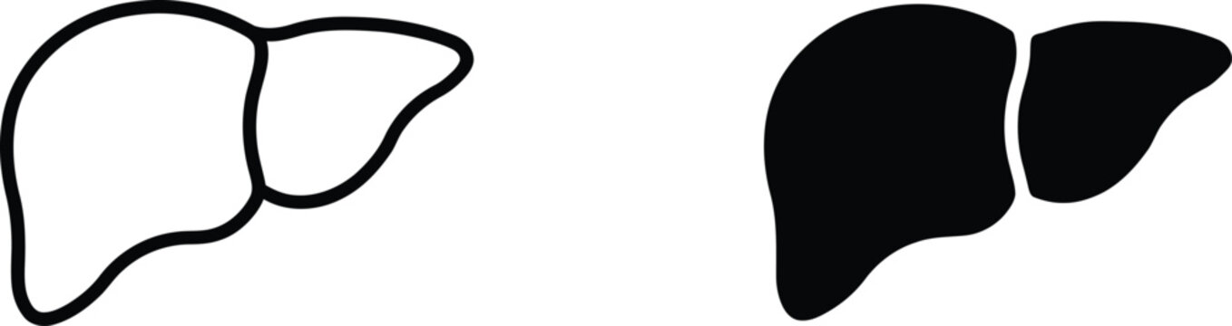 Stylized outline and solid silhouette graphic representations of a human liver