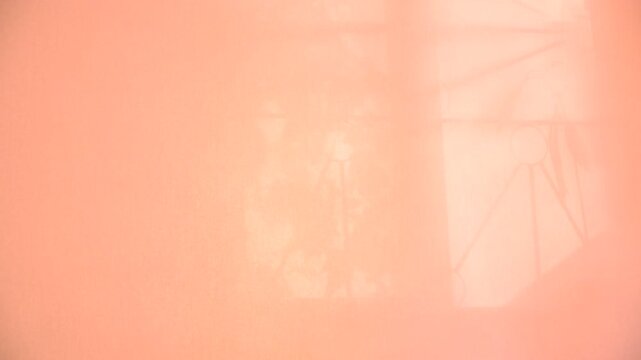 Shadow of big arched window. Window and sunlight, moving shadows on pink coral background with casting floral shadows. Minimal vintage interior decoration. Autumn style aesthetics
