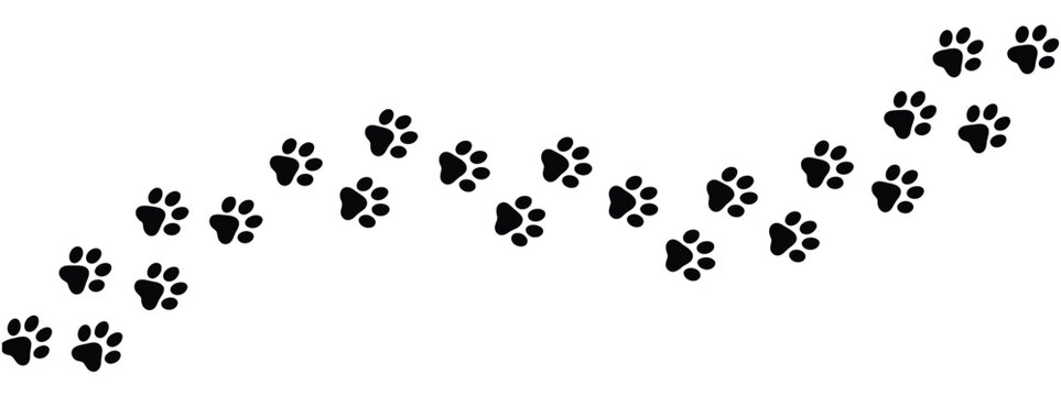 Paw footprint icon set, dog and cat track symbols for pet care, veterinary services and animal themed design.