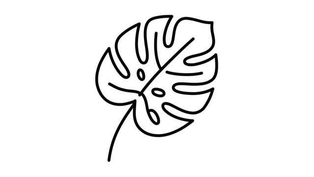 Vector illustration of a monstera leaf line icon with clean silhouetted split leaf form featuring multiple fenestrations and a curved petiole in flat minimalist style for tropical botanical design col