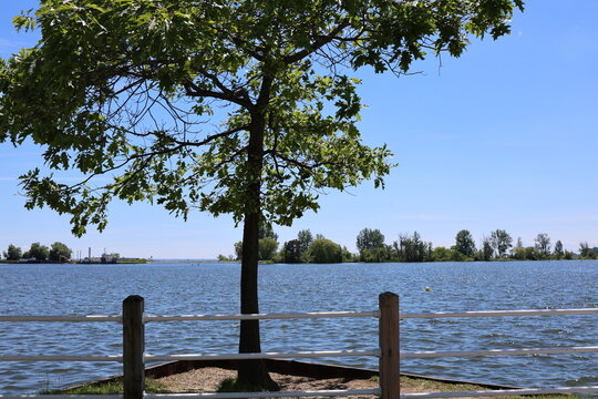 wooden pier on the lake