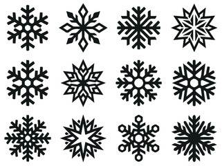 Obraz premium Collection of ten black and white snowflake icons with intricate geometric patterns and symmetrical designs for winter