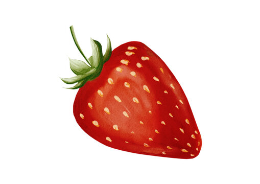 Strawberry made in Procreate in Watercolour technique. PNG file. 300 DPI
