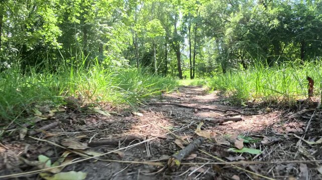 Low angle forward camera movement over a trail in the grass