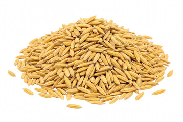 Fototapeta premium A Heap of Raw Golden Rice Paddy Grains