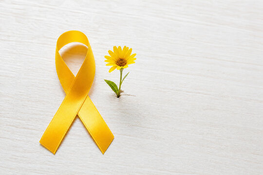 Conceito Minimalista de Setembro Amarelo: La&ccedil;o amarelo e pequena flor em fundo de madeira clara simbolizando esperan&ccedil;a e vida